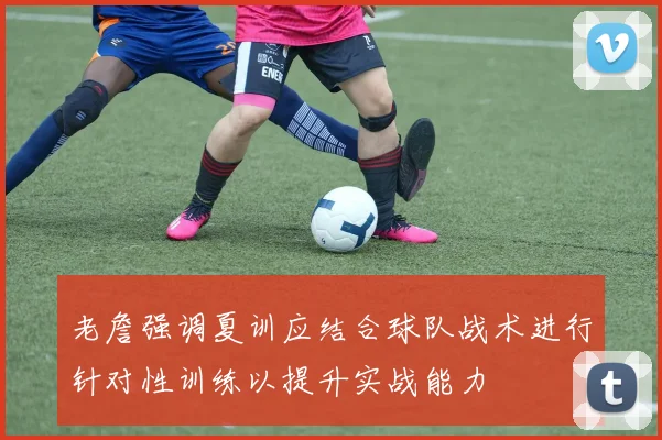 老詹强调夏训应结合球队战术进行针对性训练以提升实战能力