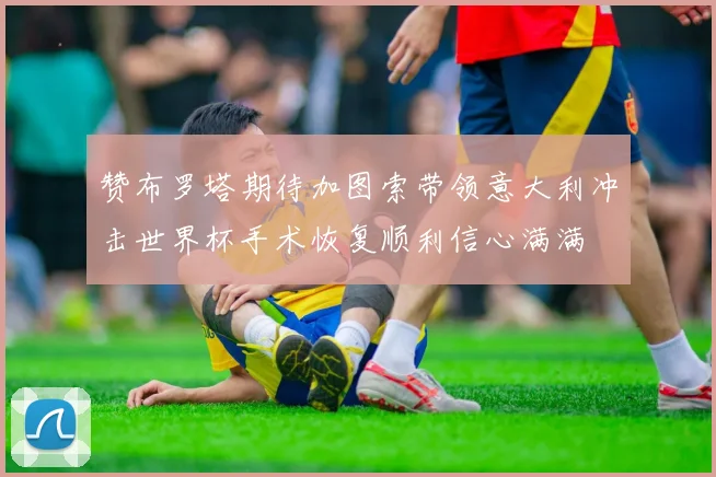 赞布罗塔期待加图索带领意大利冲击世界杯手术恢复顺利信心满满