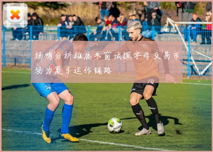 杨鸣分析雄鹿冬窗试探字母交易市场为夏季运作铺路